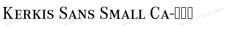Kerkis Sans Small Ca字体转换 Kerkis Sans Small Ca字体转换